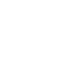 ico legacy