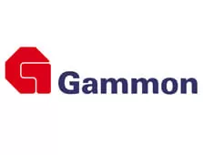 gammon